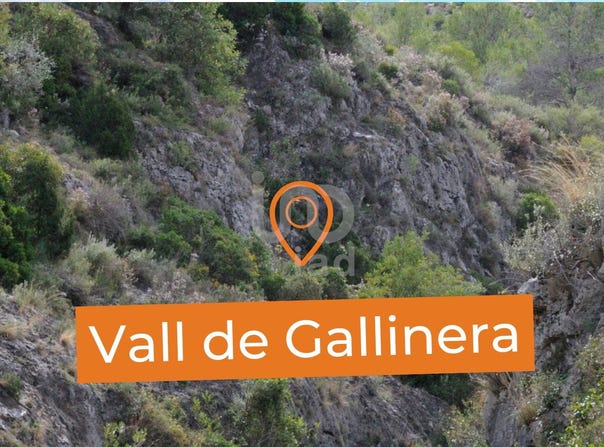 Portimão, Valencian Community 03788