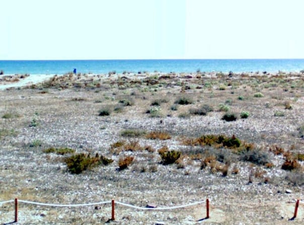Almenara, Valencian Community 12590