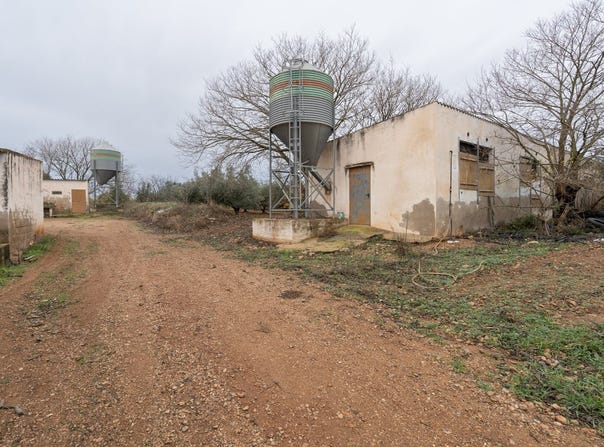 La Galera, Catalonia 43515
