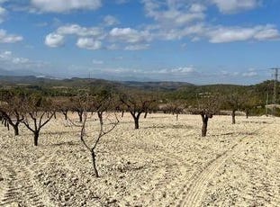 Bullas, Murcia