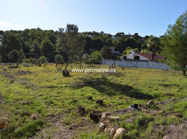 Denia, Valencian Community 03700