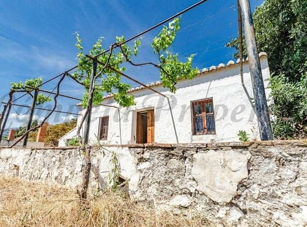 Cómpeta, Andalusia 29754