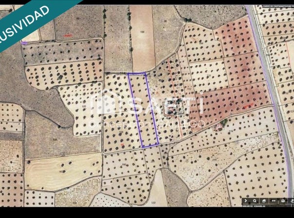 Campo De Criptana, Castile-La Mancha 13610