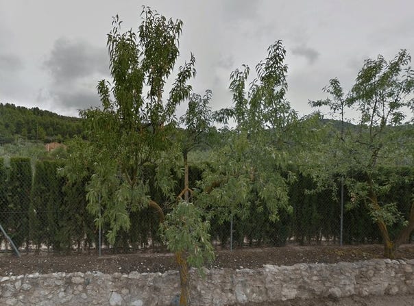 Biar, Valencian Community
