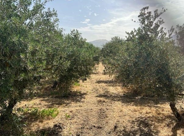 Zubia (La), Andalusia