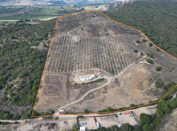 Manilva, Andalusia 29691