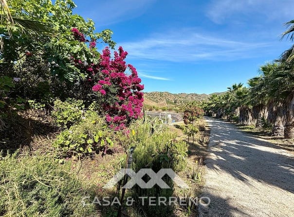 Cajiz, Andalusia 29792