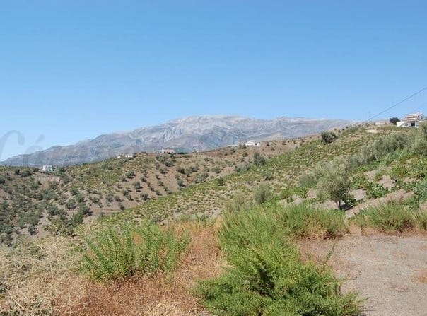 Árchez, Andalusia 29753