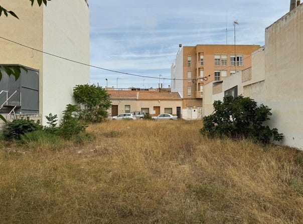 Elche/Elx, Valencian Community