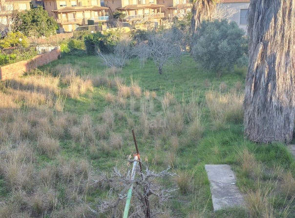 Tarragona, Catalonia 43882