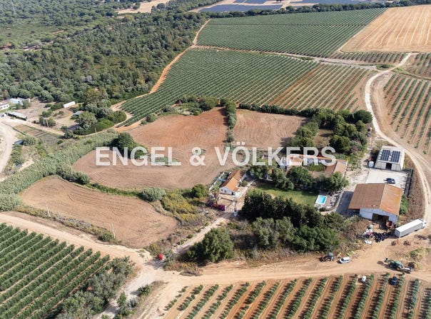 Puerto Real, Andalusia 11510