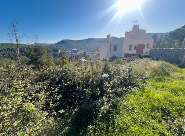 Vallirana, Catalonia 08759