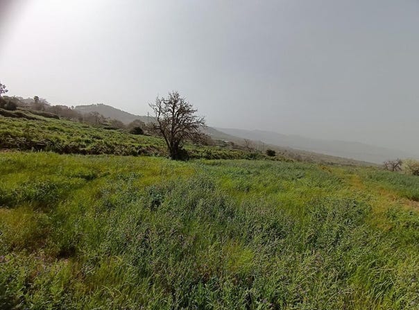 Matanza De Acentejo, Canary Islands 38370