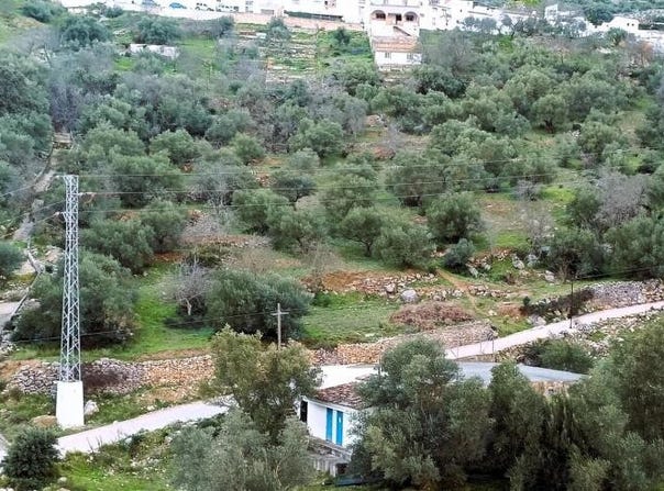Benaojan, Andalusia 29370