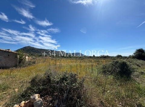 Llucmajor, Mallorca