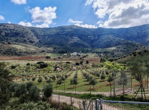 Ronda, Malaga
