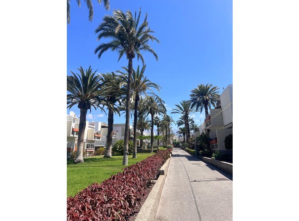Arona, Canary Islands 38630