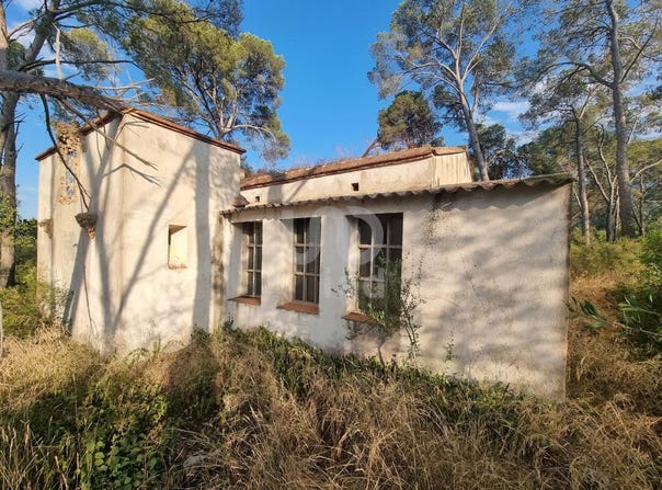 Amposta, Catalonia 43870