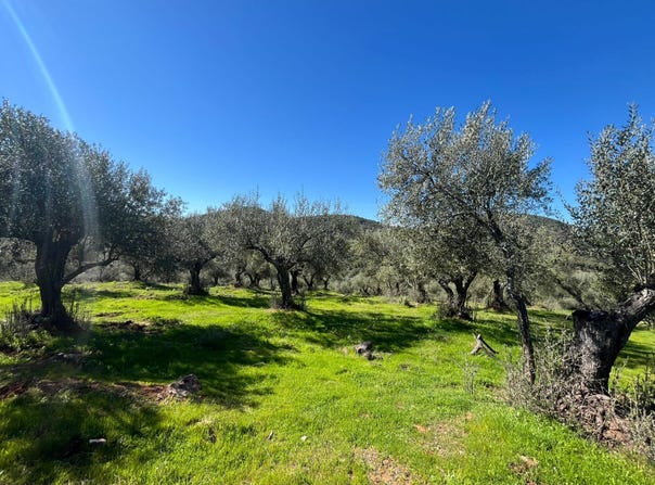 Zufre, Andalusia 21210