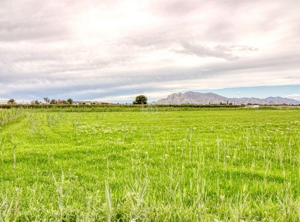 Alicante, Valencian Community 03349