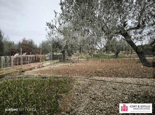 Benicarlo, Valencian Community 12580