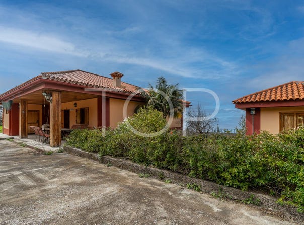 Las Rosas, Canary Islands 38300