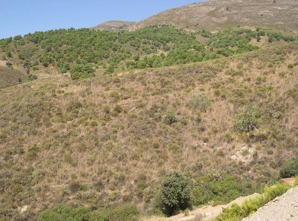 Sedella, Andalusia 29715