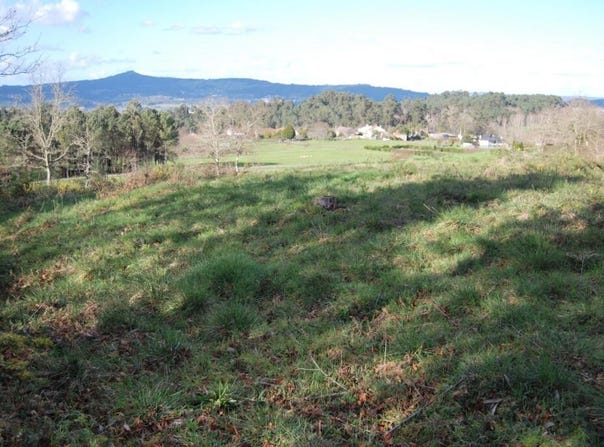 Estrada, Galicia 36680