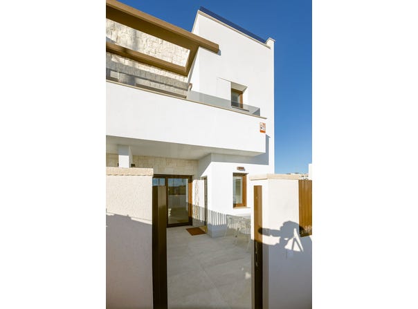Melon, Orihuela, Valencian Community 03319
