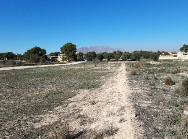Monforte del Cid, Valencian Community