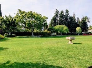 Guadalmina Baja, Marbella, Malaga