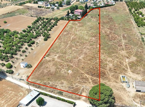 Olivares, Andalusia 41804