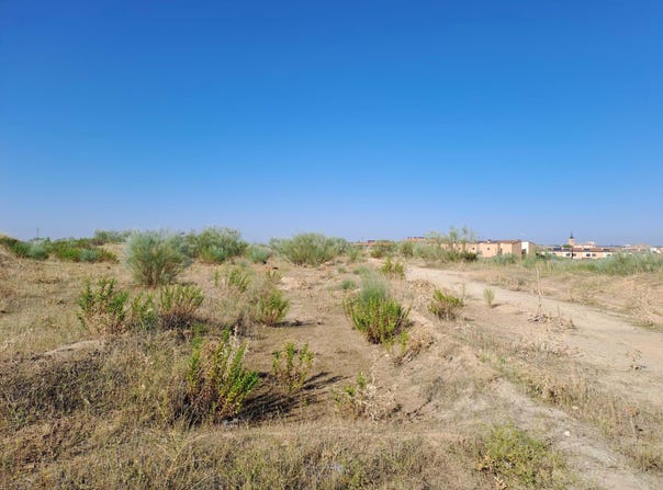 Torrejón de Velasco, Community of Madrid