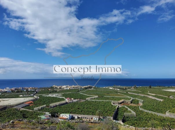 Alcala, The Canary Islands 38686