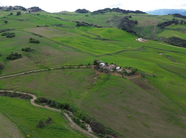 Montecorto, Andalusia 29430