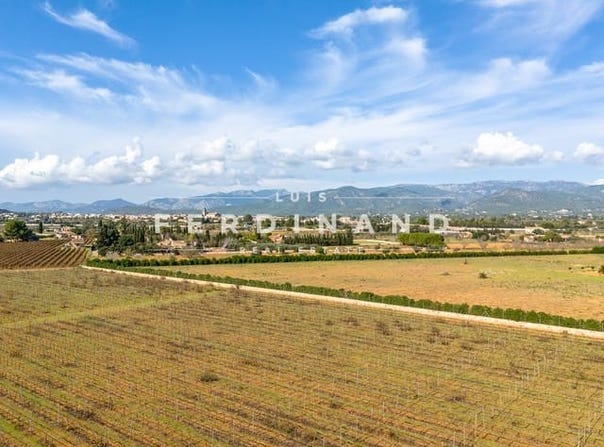 Santa María del Camí, Balearic Islands 07320