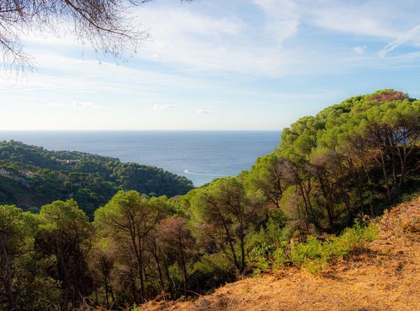 Lloret de Mar, Catalonia 17310