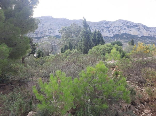 Denia, Valencian Community 03700