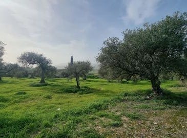 Alhaurin El Grande, Malaga 29120