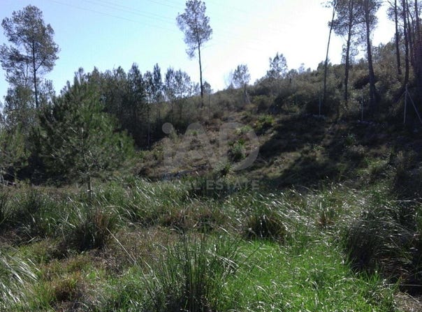 Olivella, Catalonia 08818