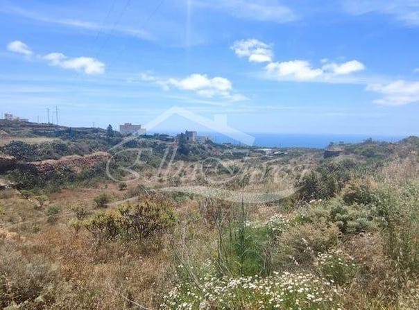 San Miguel de Abona, The Canary Islands 38620