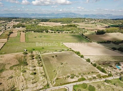 Sineu, Illes Balears|Baleares