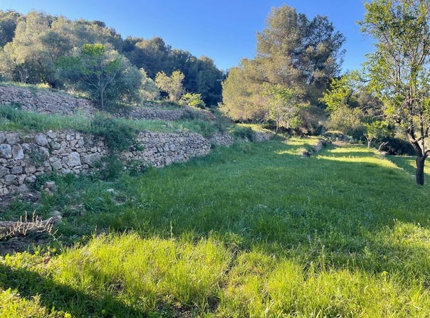 Cabanes, Valencia 12180