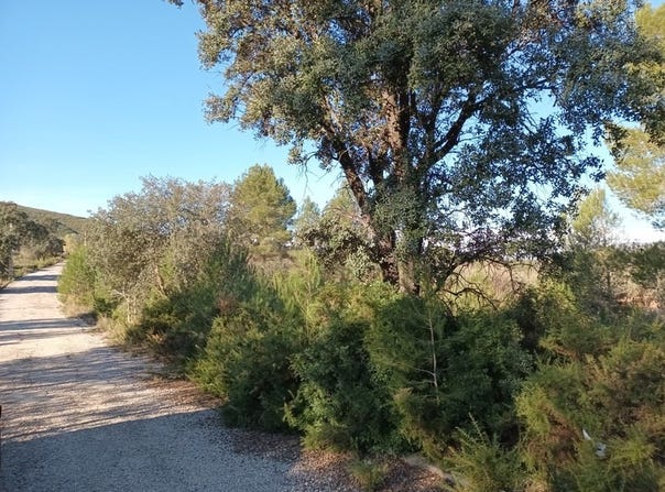 Macastre, Valencian Community