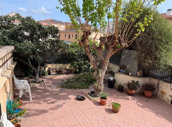 Almoradí, Valencia 03160