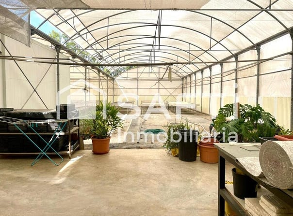 Alfarp, Valencian Community 46197