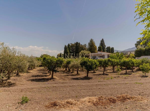 Zubia (La), Andalusia