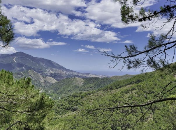 Coín, Andalusia 29100