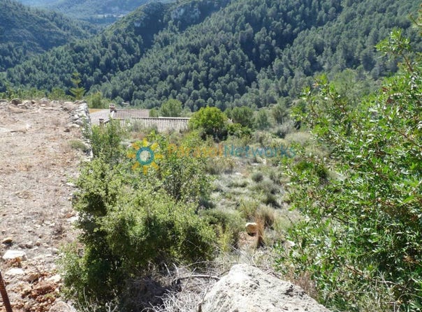 Oliva, Valencian Community 46780