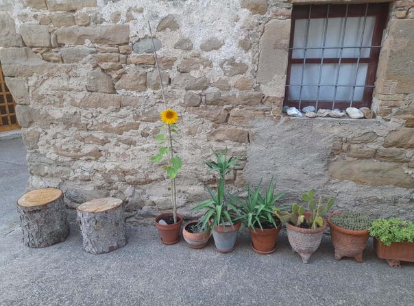 Barcelona, Catalonia 08275